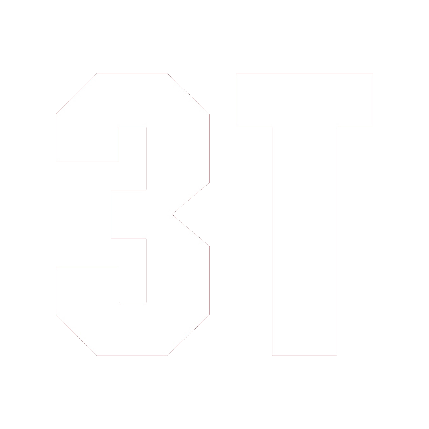 3T